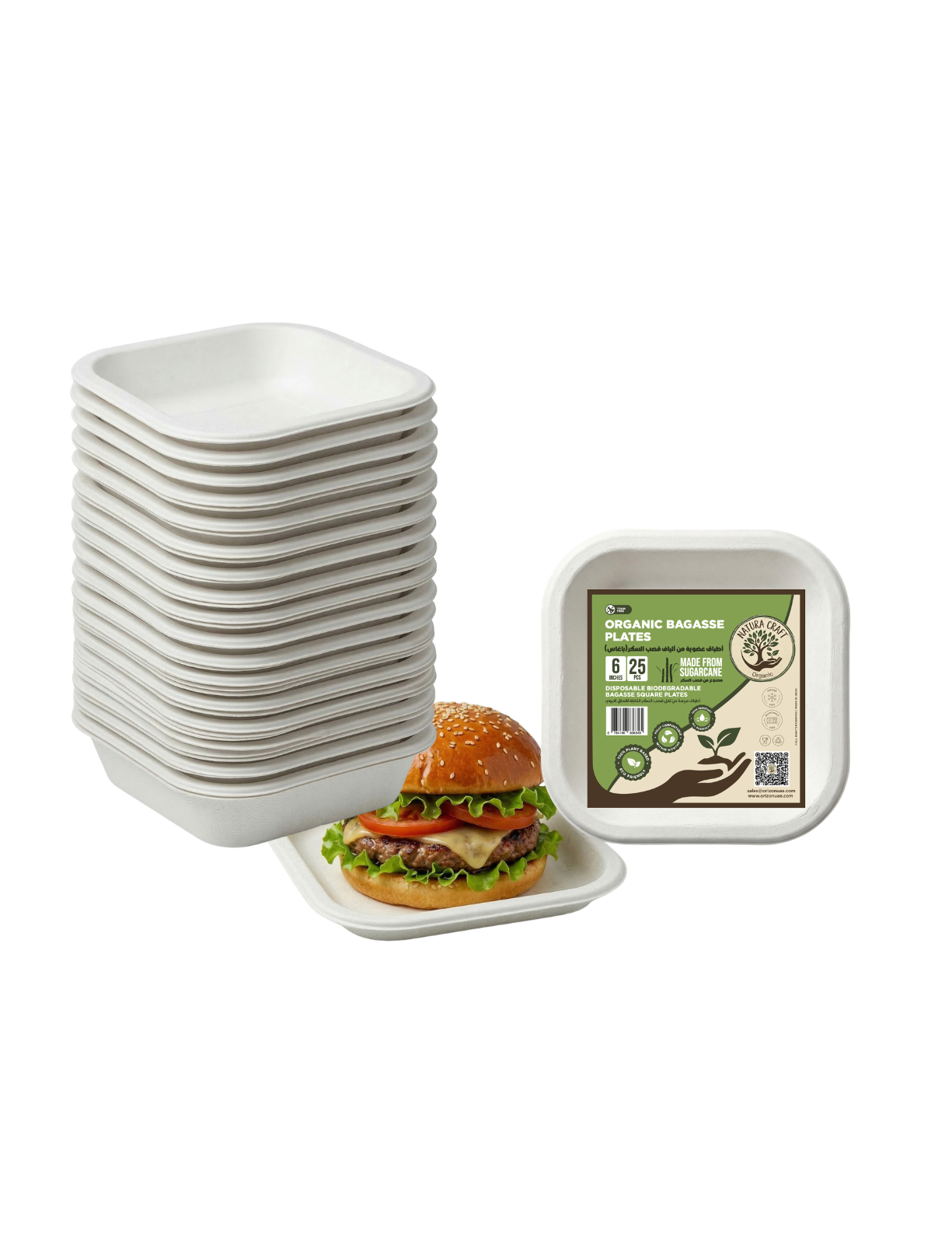 Bagasse Disposable Square Plate