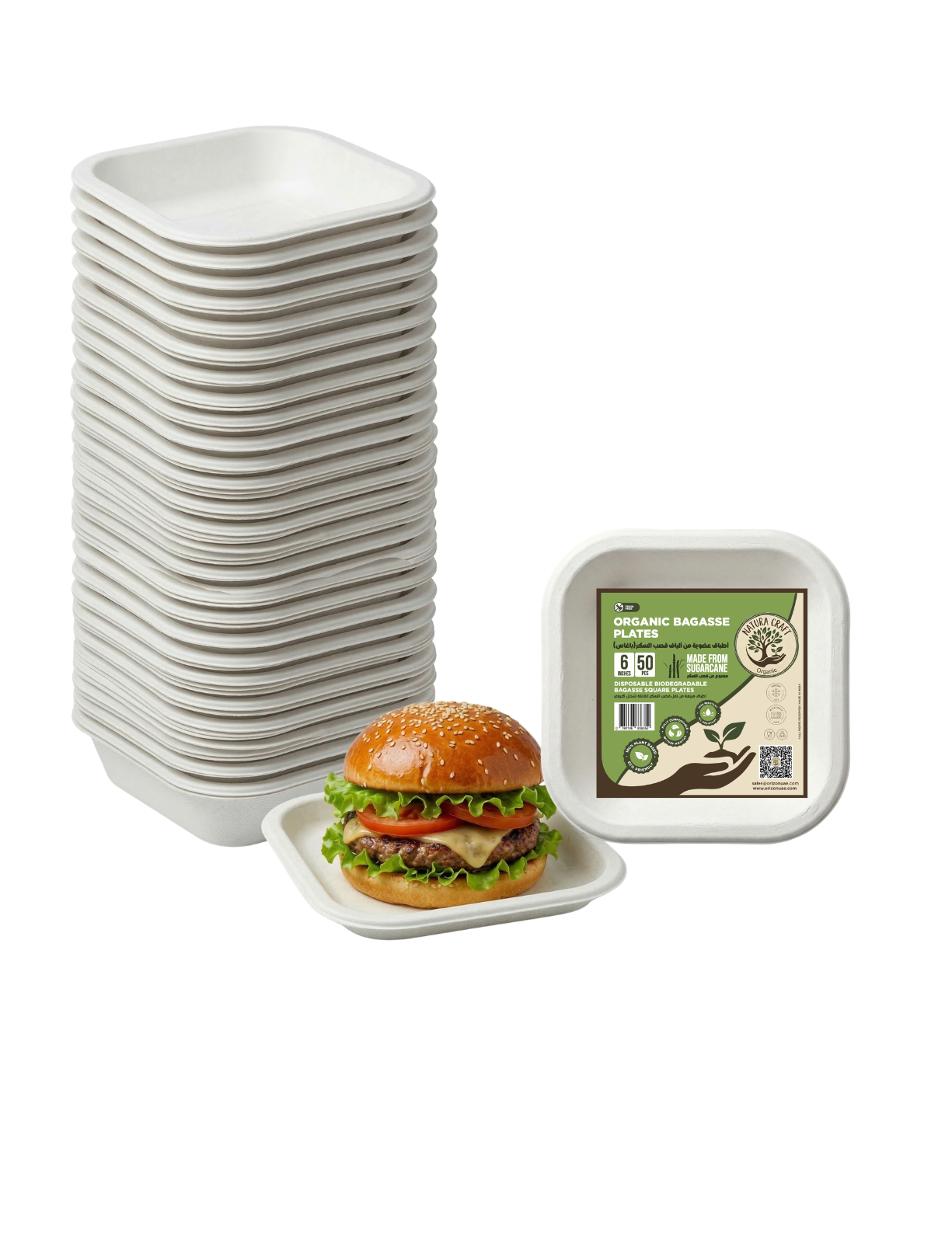 Bagasse Disposable Square Plate