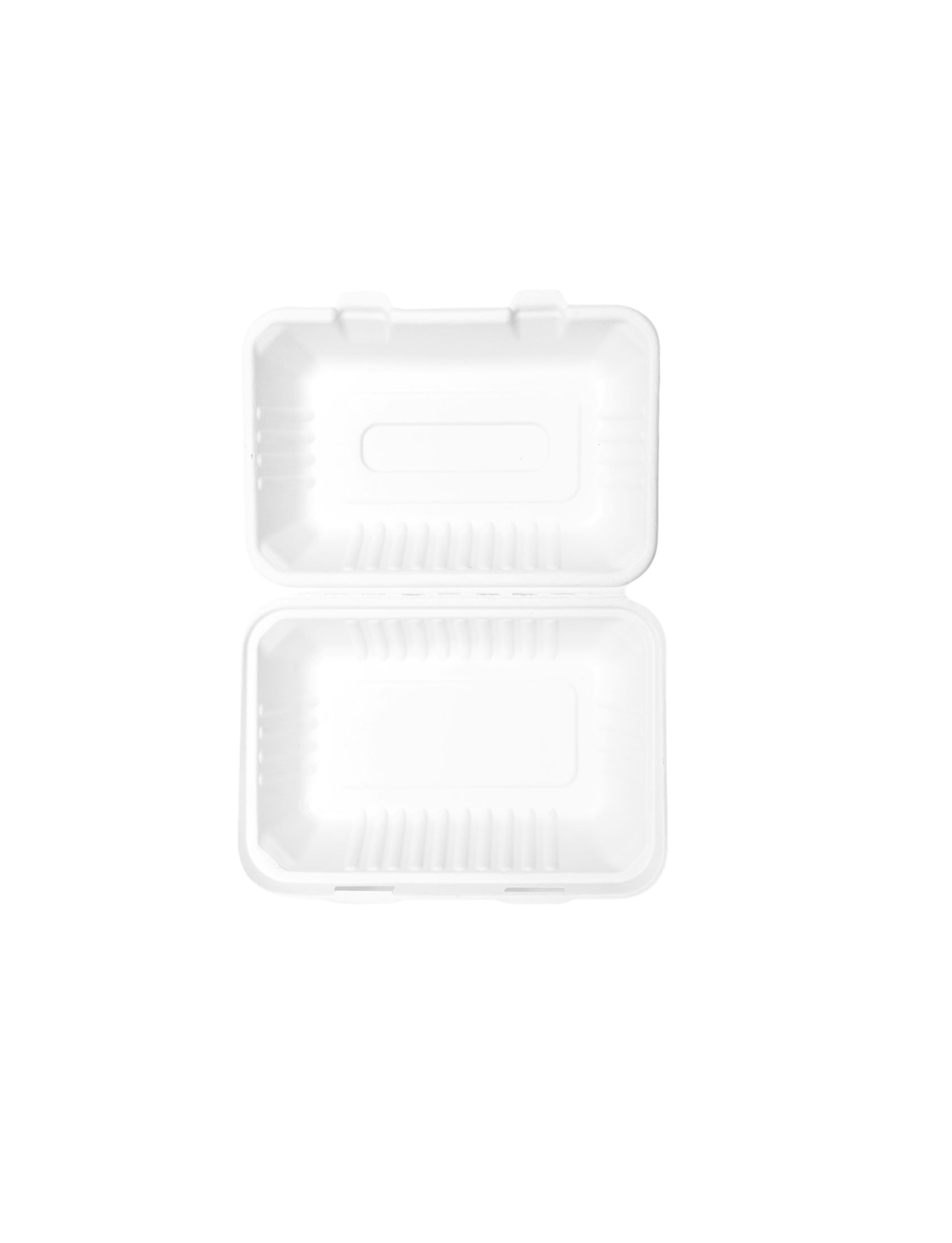 Bagasse Clamshell - 9x6"-4