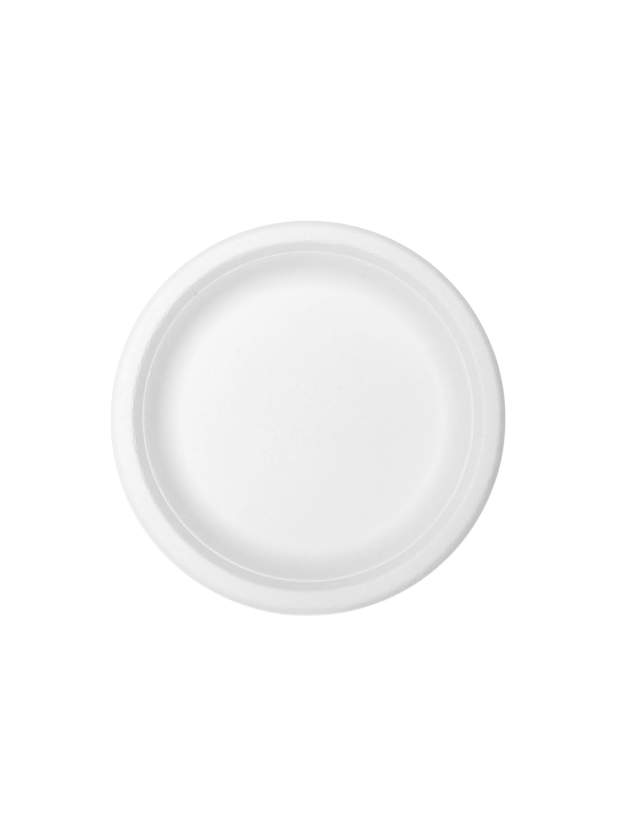 Bagasse Disposable Round Plates - 11 inch-5