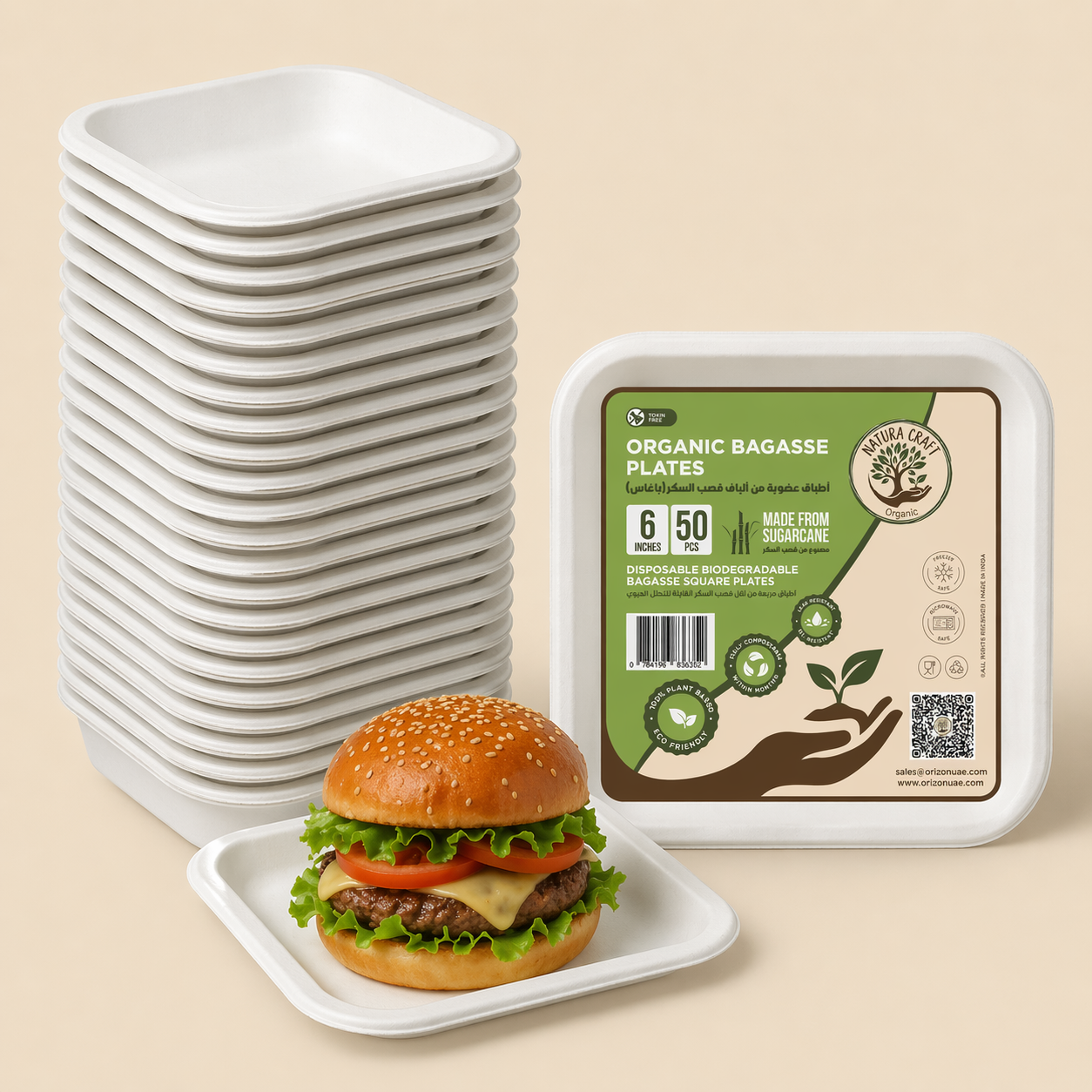 Bagasse Disposable Square Plate (6" 50 psc)