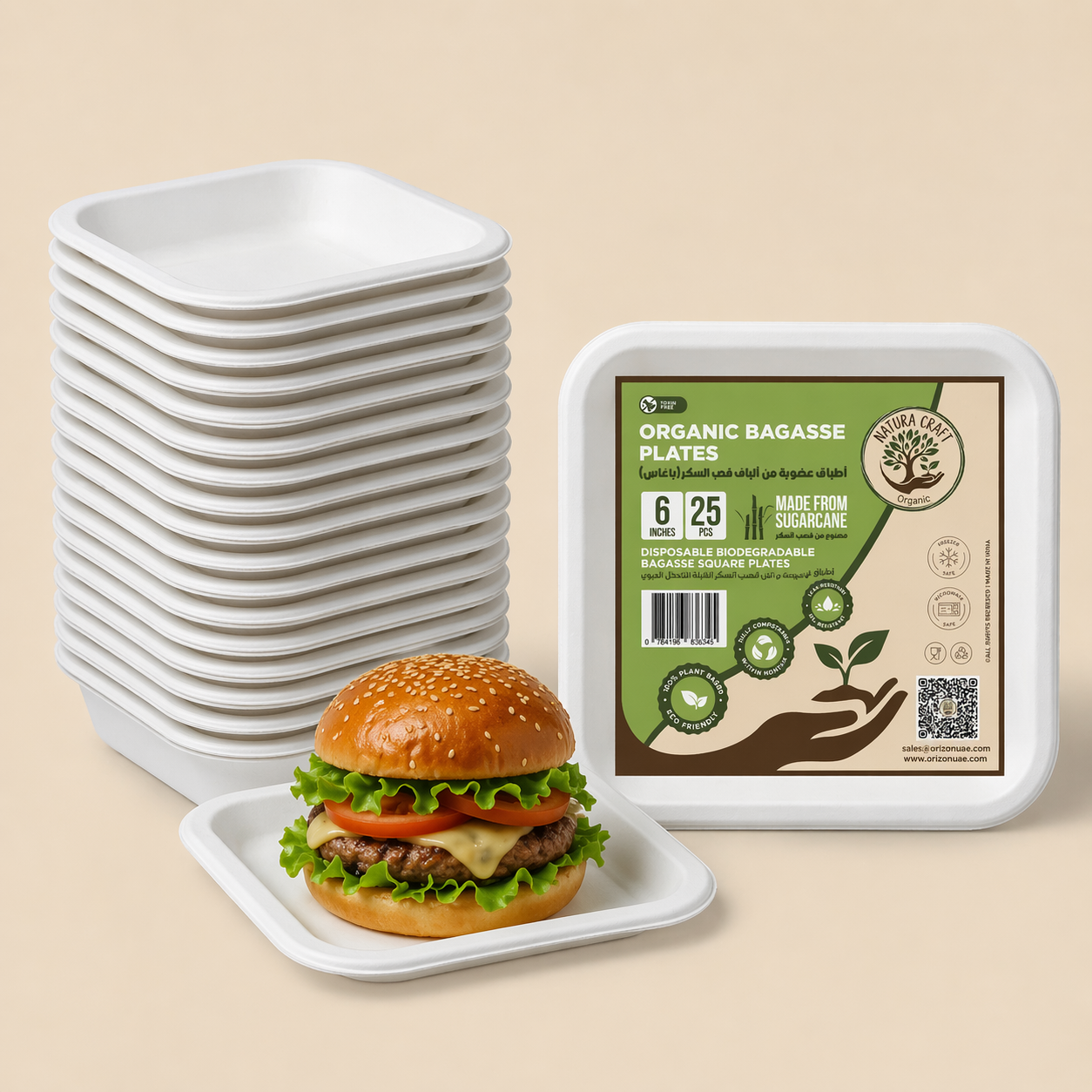 Bagasse Disposable Square Plate (6" 25 psc)