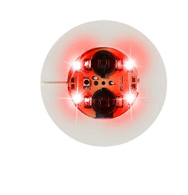 LED Light Up Coaster for Glass / Tumbler / Bottle - Red 10pc Set-1