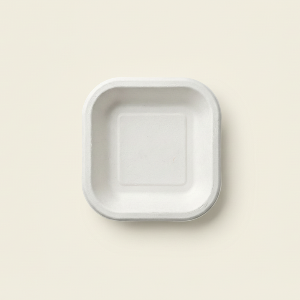Bagasse Disposable Square Plate (6" 25 psc)-4