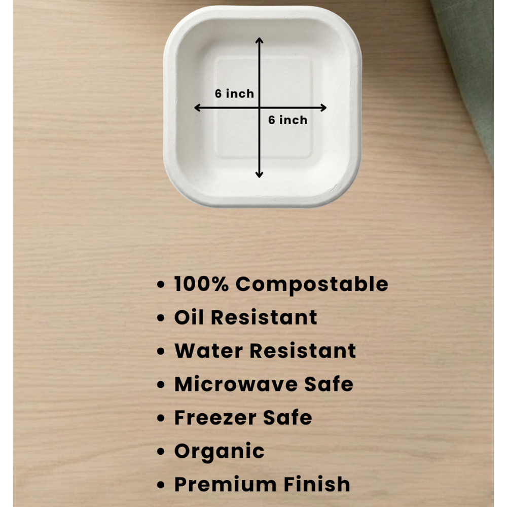 Bagasse Disposable Square Plate (6" 25 psc)-3