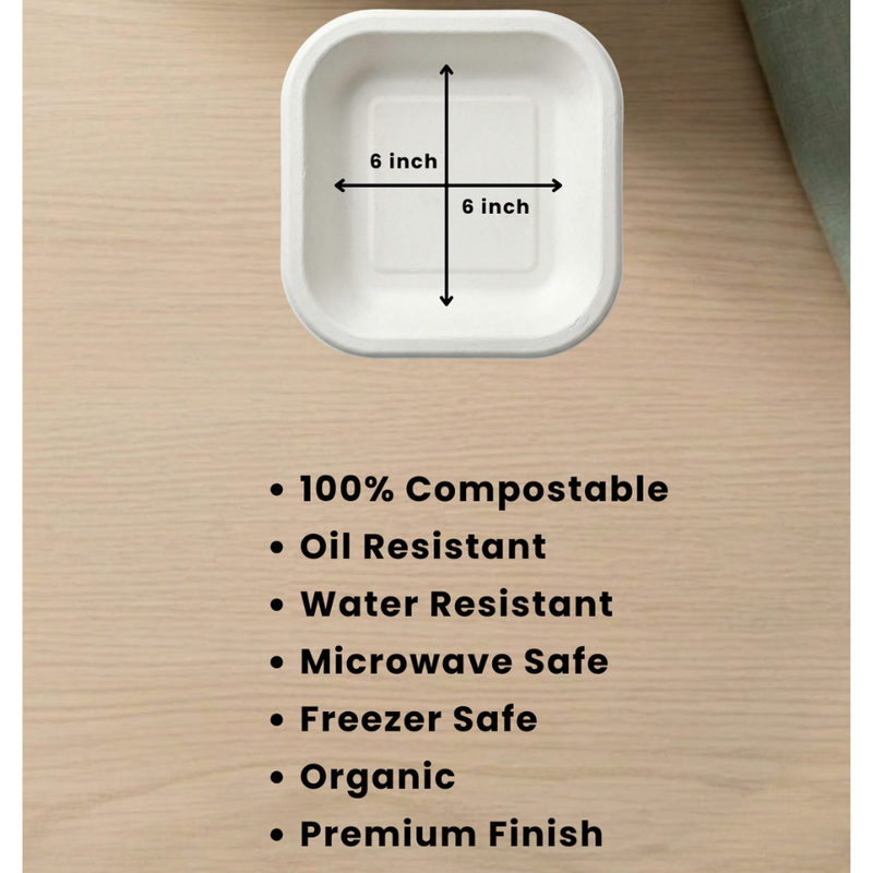Bagasse Disposable Square Plate (6" 25 psc)-3