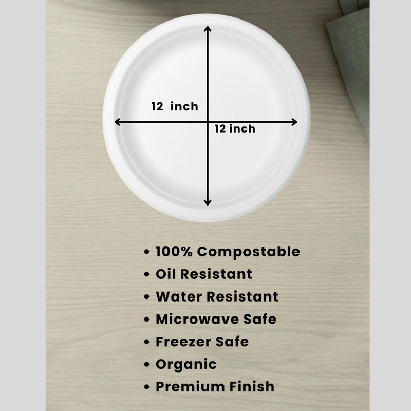 Bagasse Disposable Round Plates - 12 inch (25 pcs)-3