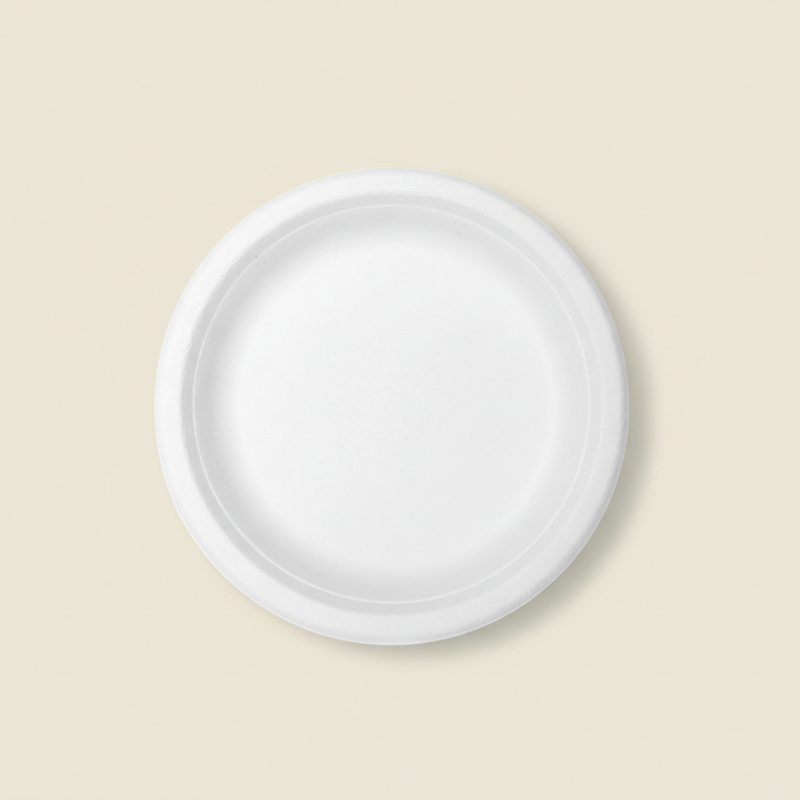 Bagasse Disposable Round Plates - 11 inch (25 pcs)-4