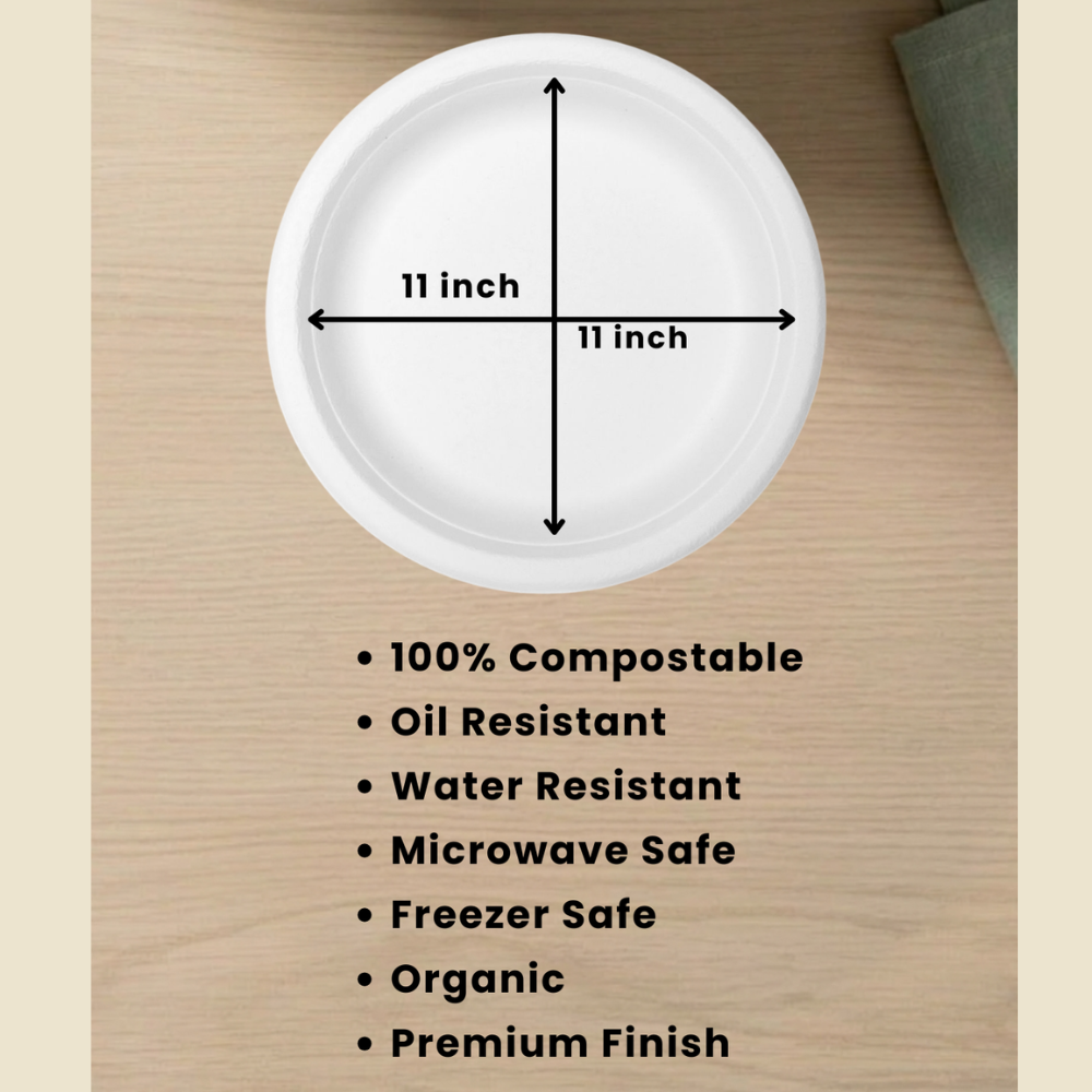 Bagasse Disposable Round Plates - 11 inch (25 pcs)-3