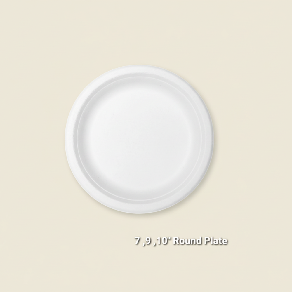 Bagasse Disposable Round Plates - 10 inch (25Pcs)-5